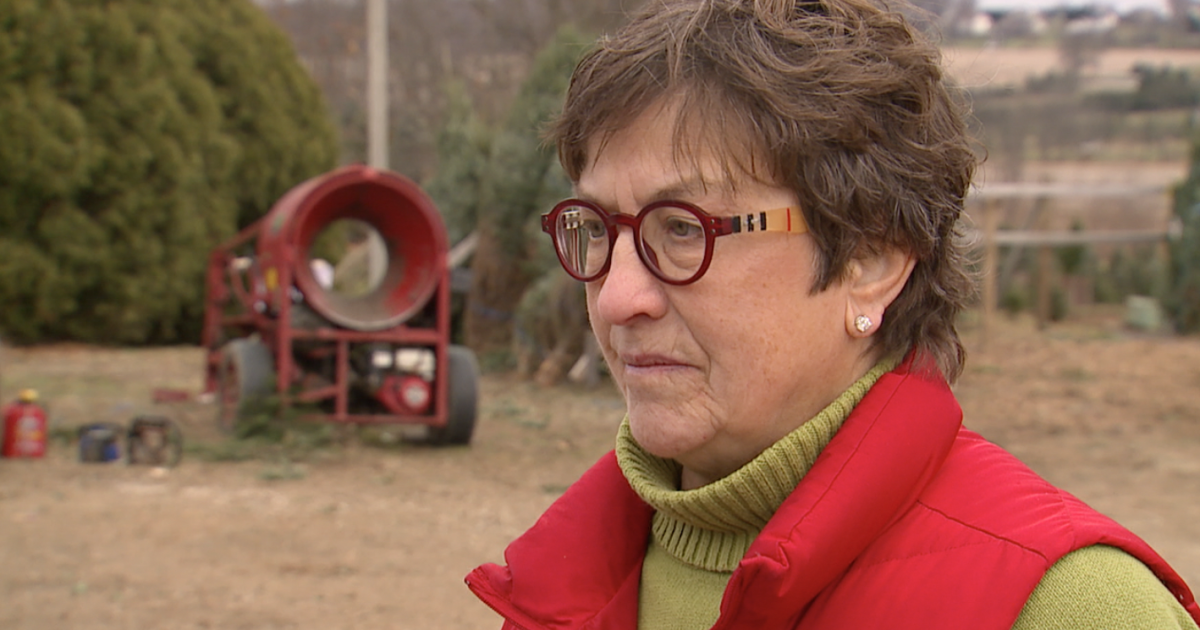 She made a promise to her husband to keep their tree farm going