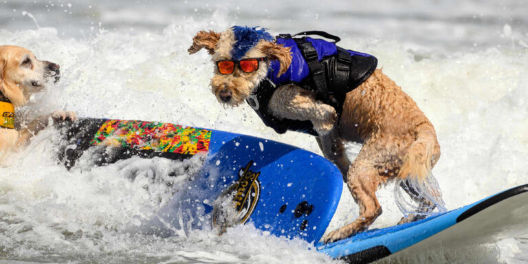 These mutual fund and ETF tips help your portfolio ride the market's wave