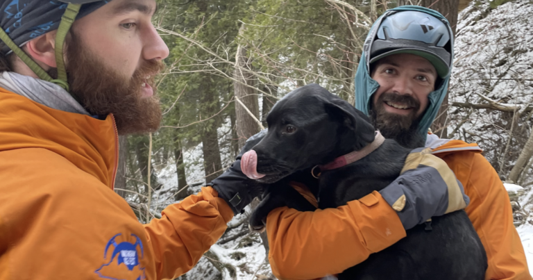Canine rescued after surviving 60-foot fall from Michigan cliff and spending night time alone on Lake Superior shoreline